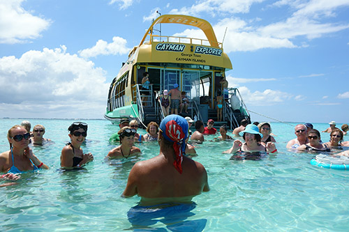 I was amazed to hold a stingray during our excursion to Stingray City, from the tender port of Grand Cayman Island from Royal Caribbean's Navigator of the Seas on our Caribbean Cruise vacation