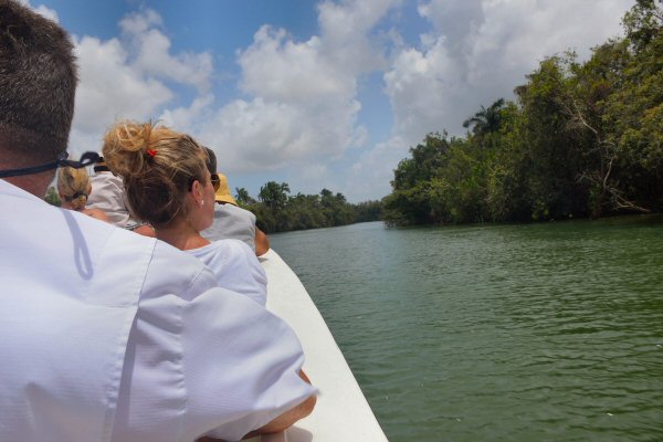 Courtney Taylor Tours, a private excursion company at the Jamaica port for Royal Caribbean's Navigator of the Seas on our Caribbean Cruise vacation