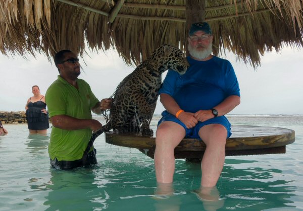 Courtney Taylor Tours, a private excursion company at the Jamaica port for Royal Caribbean's Navigator of the Seas on our Caribbean Cruise vacation